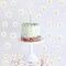 250 Pack White Daisy Confetti – Small Silk/Paper Flower Table Scatter for Daisy Baby Shower & Boho Birthday – Wildflower Theme Wedding & Bridal Shower Decorations – Groovy One Birthday Party Supplies – Spring Floral Table Sprinkles